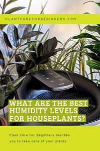 What are the best humidity levels for houseplants?
