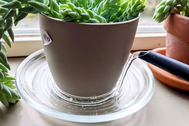 Bottom watering