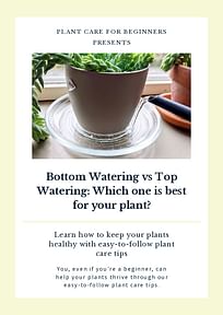 Bottom Watering vs Top Watering: Which one is best for your plant?