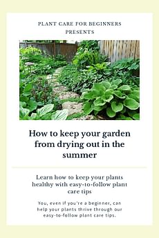 How to keep your garden from drying out in the summer