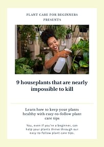 9 houseplants that are nearly impossible to kill