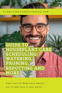 Guide to Houseplant Care Scheduling: Watering, Pruning, Repotting and More