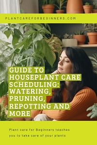 Guide to Houseplant Care Scheduling: Watering, Pruning, Repotting and More