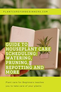 Guide to Houseplant Care Scheduling: Watering, Pruning, Repotting and More