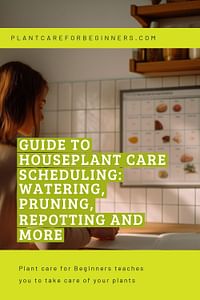 Guide to Houseplant Care Scheduling: Watering, Pruning, Repotting and More