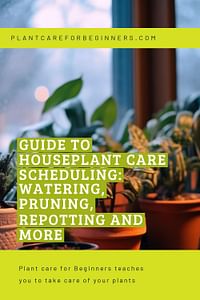 Guide to Houseplant Care Scheduling: Watering, Pruning, Repotting and More