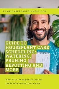 Guide to Houseplant Care Scheduling: Watering, Pruning, Repotting and More
