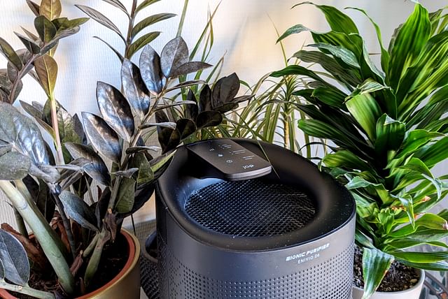Dehumidifier with plants