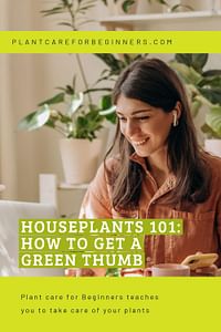 Houseplants 101: How to get a green thumb