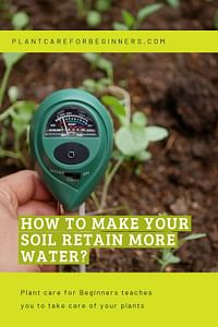 How to make your soil retain more water?