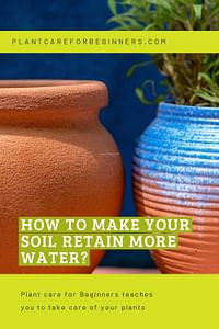How to make your soil retain more water?