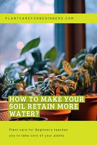 How to make your soil retain more water?