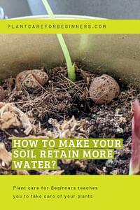 How to make your soil retain more water?