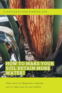 How to make your soil retain more water?