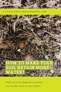 How to make your soil retain more water?
