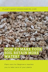 How to make your soil retain more water?