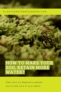 How to make your soil retain more water?
