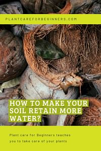 How to make your soil retain more water?