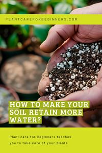 How to make your soil retain more water?