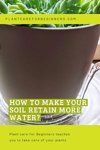 How to make your soil retain more water?
