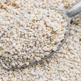 Perlite