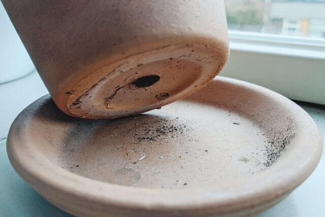 Pot with a drainage hole