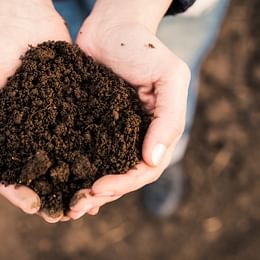 Soil mix