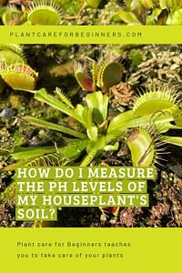 How do I measure the pH levels of my houseplant's soil?