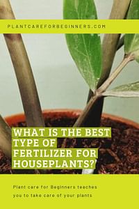 What is the best type of fertilizer for houseplants?
