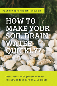 How to make your soil drain water quickly?