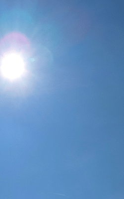 What is the difference between direct, indirect, and low-light sunlight for plants?